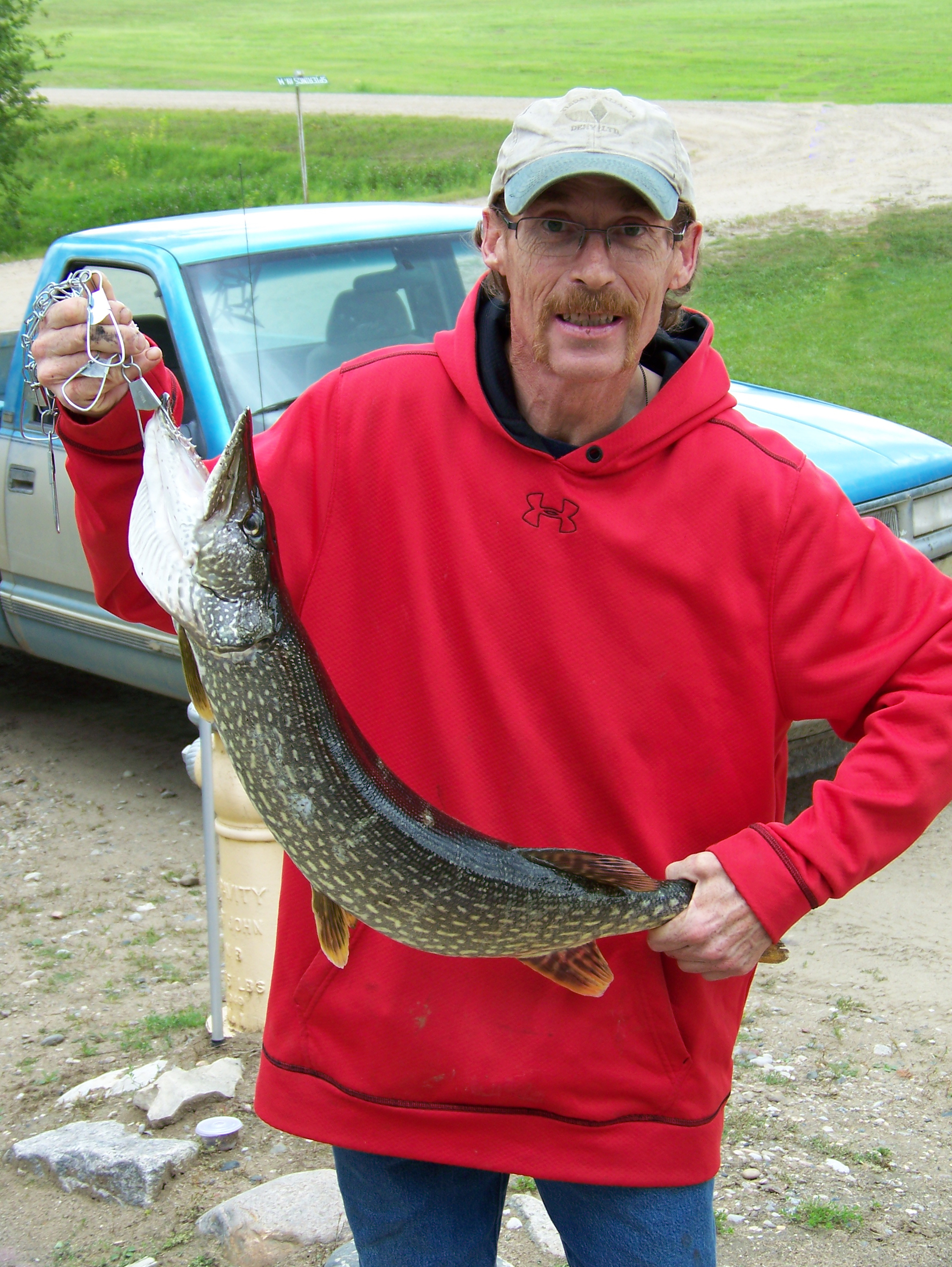 northern pike
