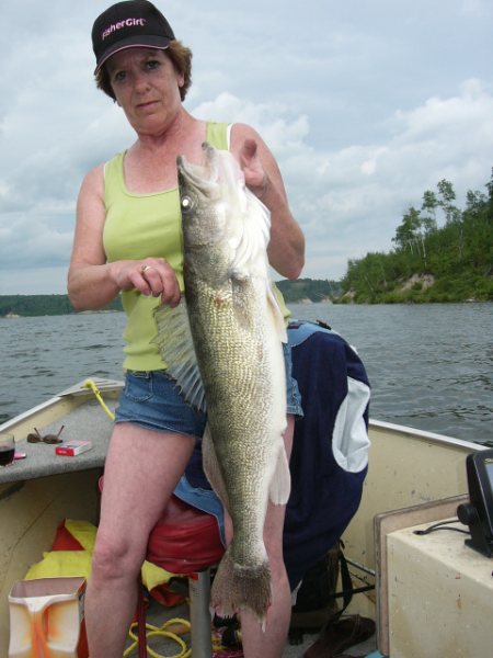 walleye