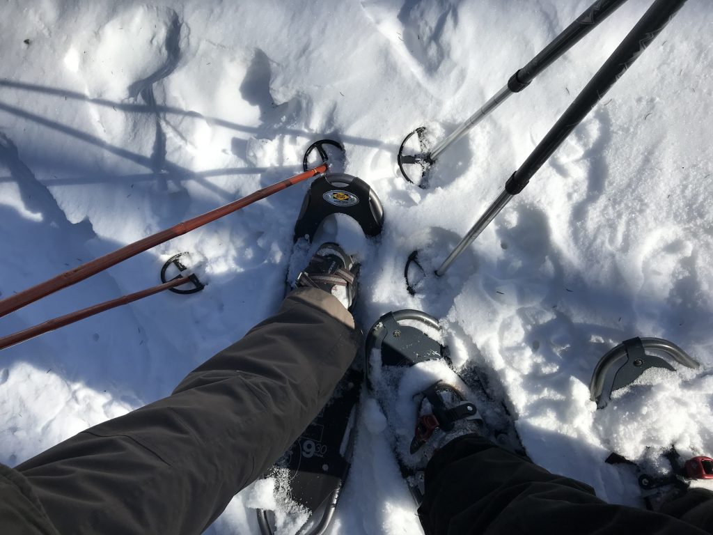 snowshoeing