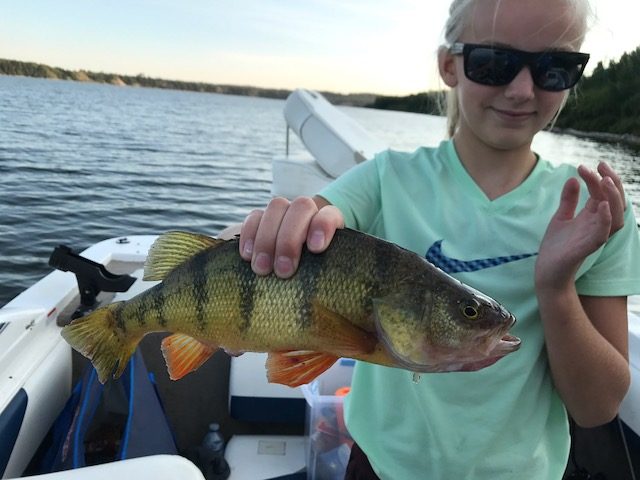 perch