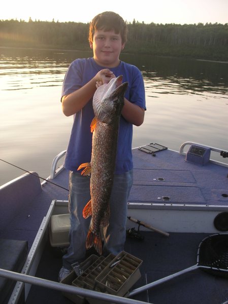 northern pike
