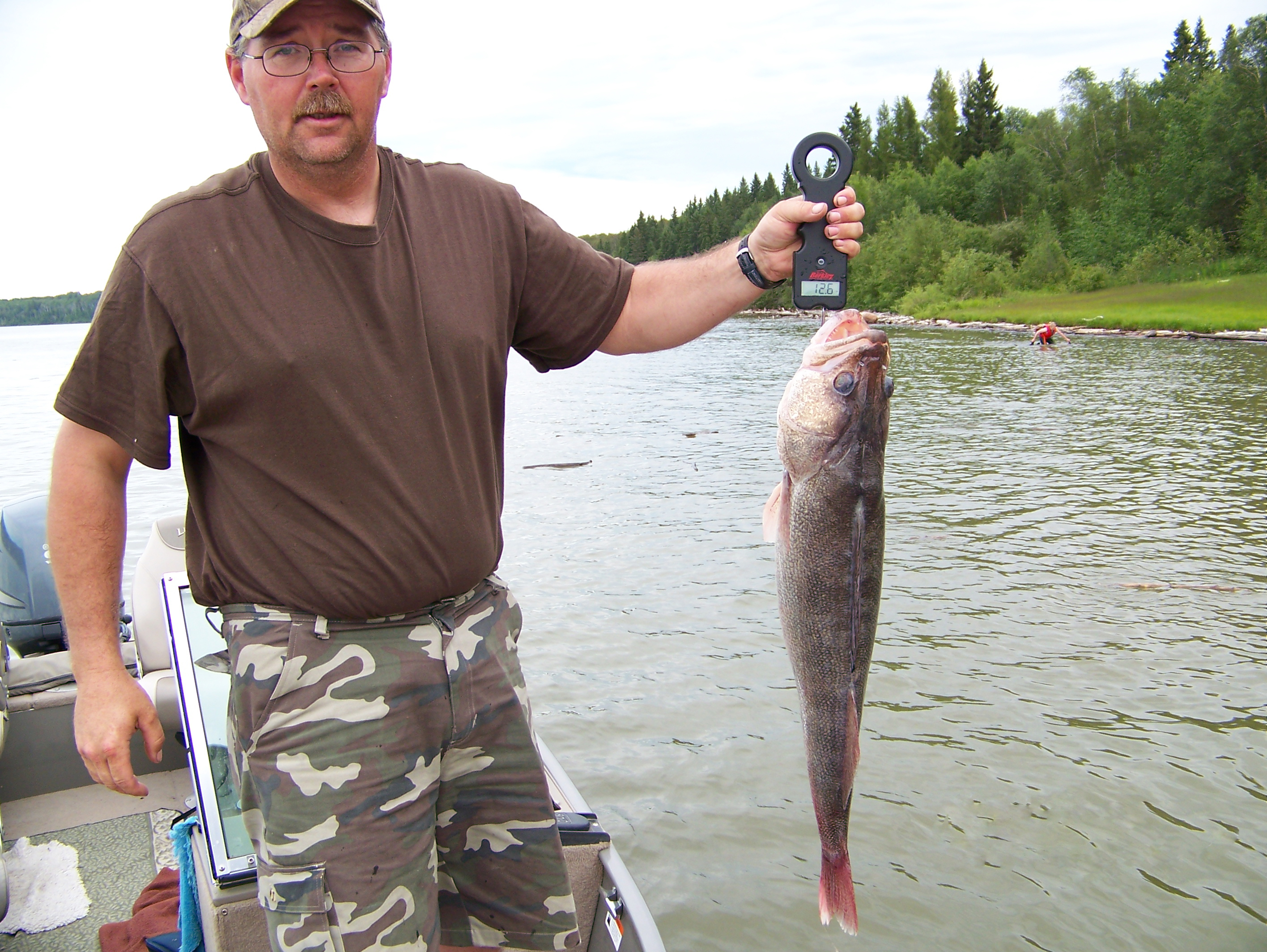 walleye